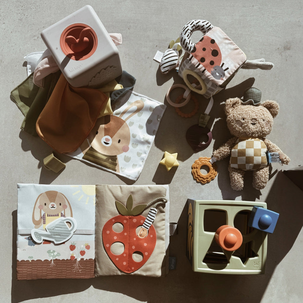 Taf Toys